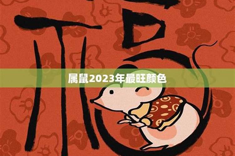 属蛇十月初六2024年运程