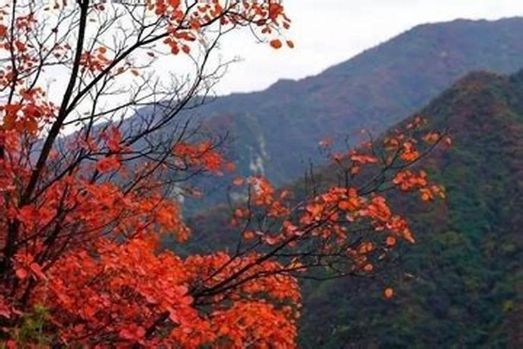 重阳节祭奠