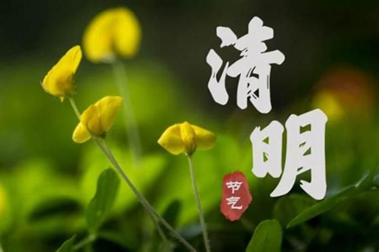 清明节为什么要上坟祭祖