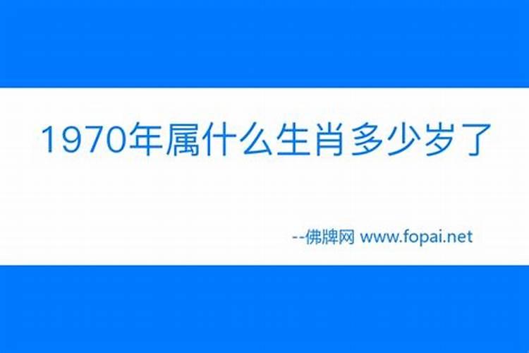 1971年属什么生肖多少岁了