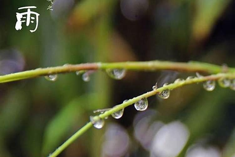 谷雨是春节的第几个节气