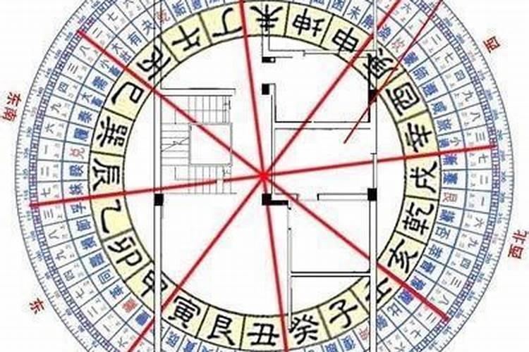 94年属狗多大了今年多大了