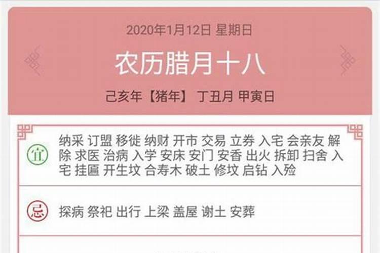 属猪2023年2月份出生运势运程