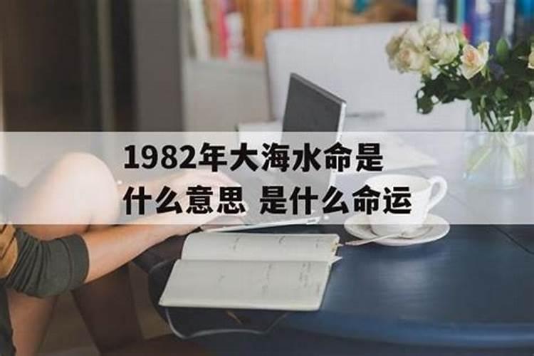 2023年兔年适合结婚的属相女