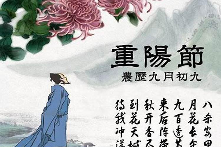 重阳节在几月几日干什么