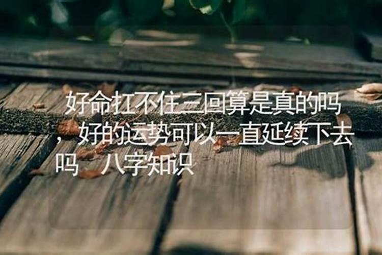 属羊的那年不好