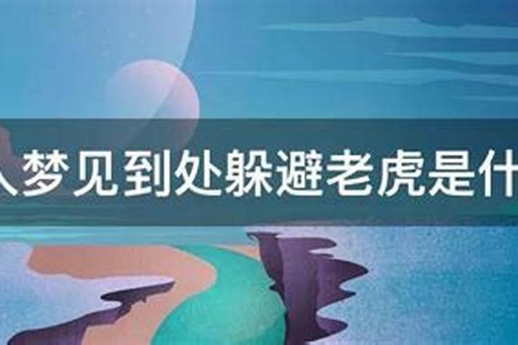 翩翩起舞的生肖是什么