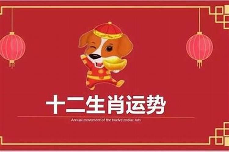 属狗的遇到什么年不好