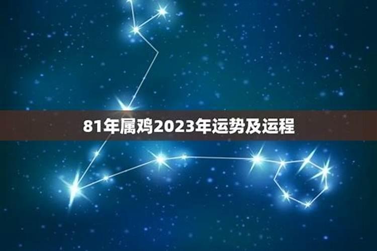 81年属鸡2023事业运