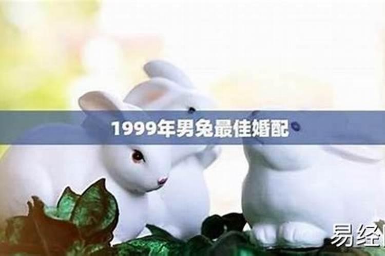 1999属兔的一生运程