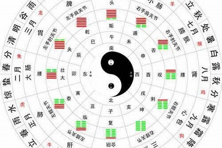 六月24日是什么星座