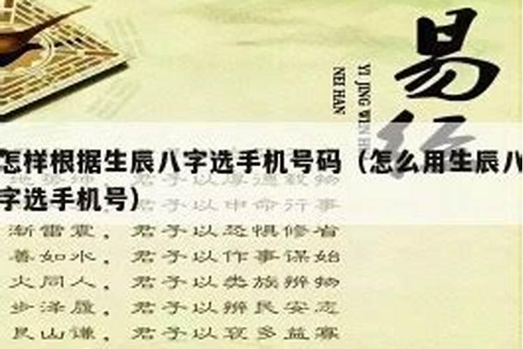 怎么算生辰八字选手机号