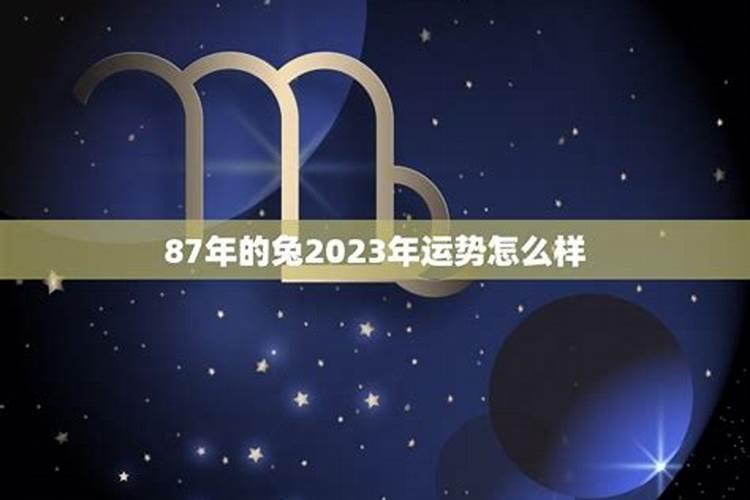 87年的兔6月运势如何