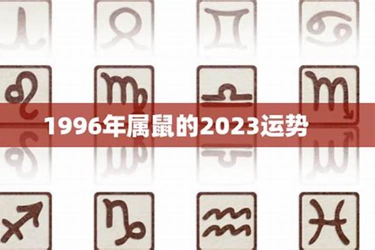 1996年2023年属什么