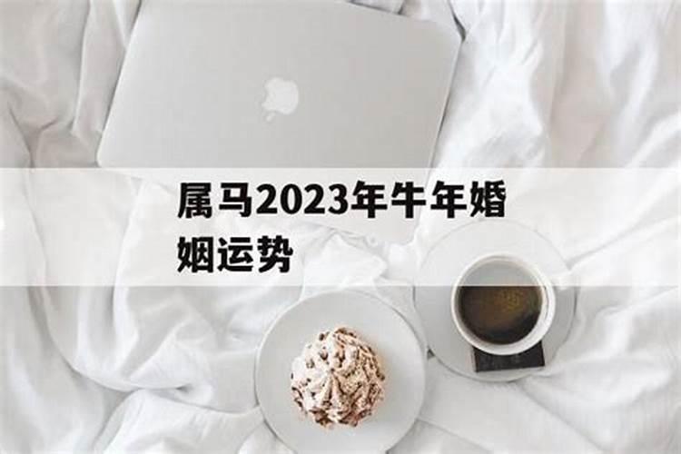 属马的2023会离婚吗