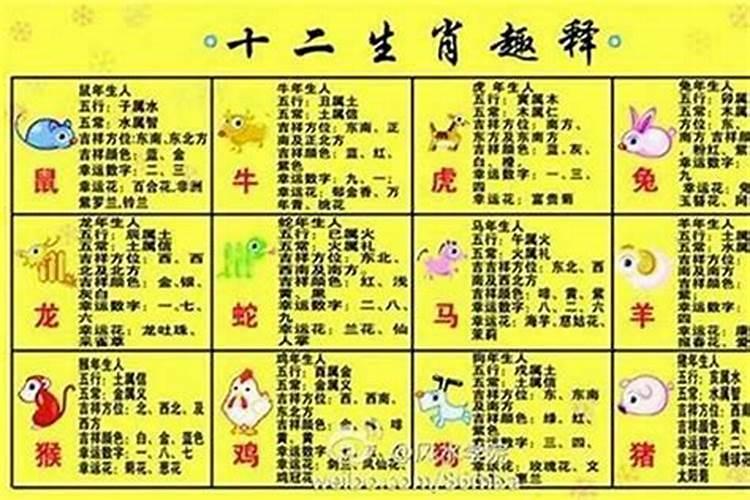 鼠字的五行属性是什么