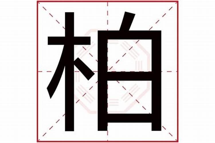 析字五行属什么