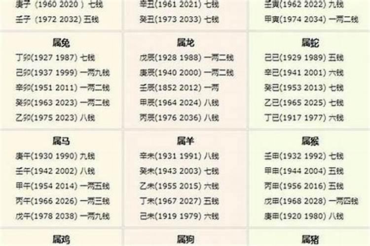 算命几斤几两对照表2021