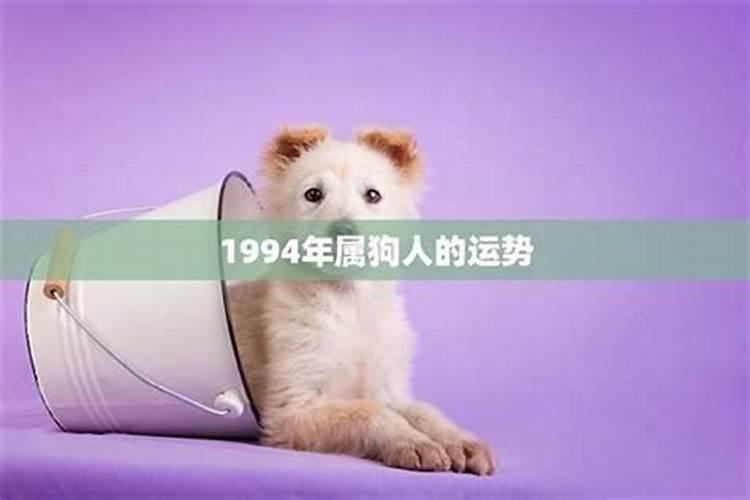 1994年女狗一生运势