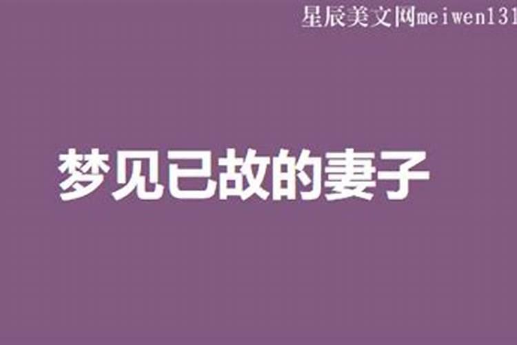 梦见死去的妻子和自己说话