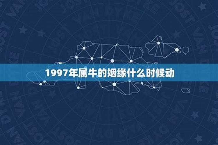 1997属牛2023年运势婚姻