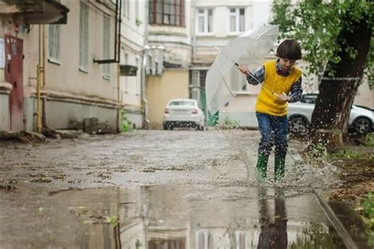 梦见地上都是雨水积水