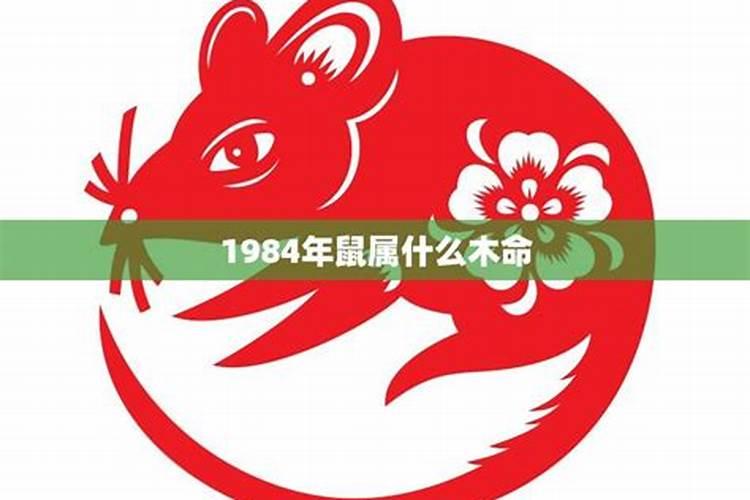 属鼠1984年五行属什么