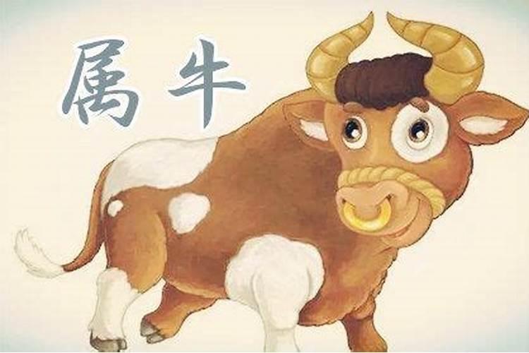 孩子的名字是谁取的