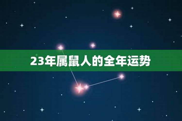 五月出生的属鼠在2023年的运势