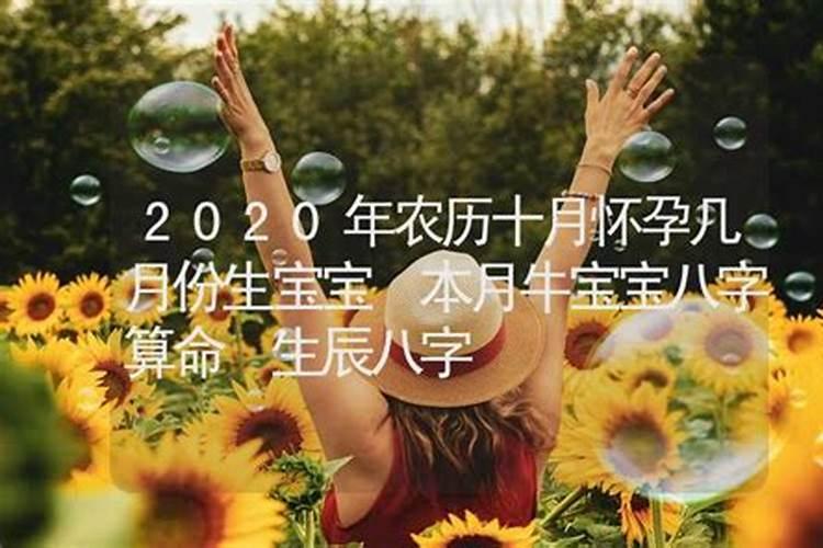 2020年农历十月十三出生的人命运怎么样