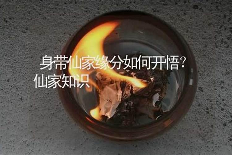 仙家圈姻缘怎么算