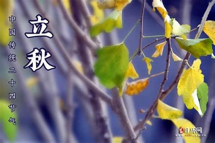 重阳节的不同习俗