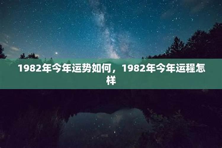 1984生肖今年的运势如何样