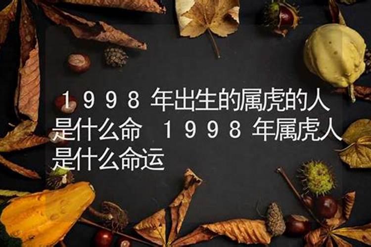 八字的天干重要还是地支重要