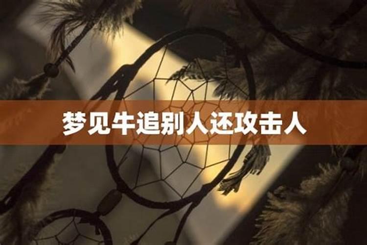 梦见牛追别人还要攻击