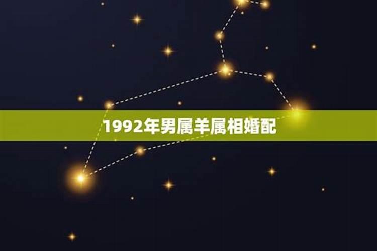 1992年婚配哪个属相好