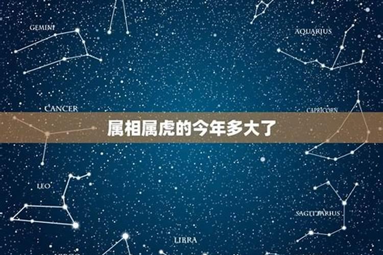 属牛的今年多大岁数202237岁