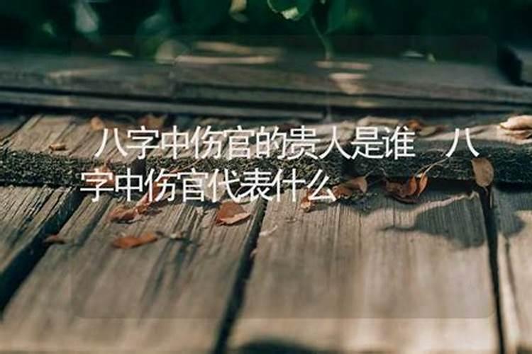 八字伤是什么意思啊