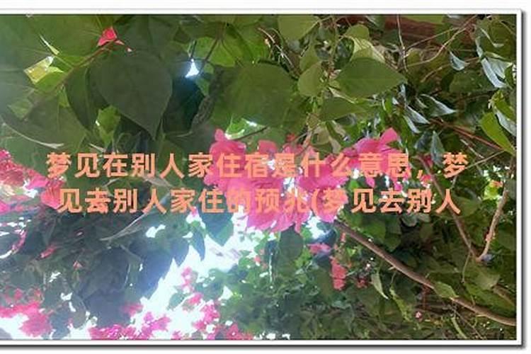 梦见去男友家住什么意思