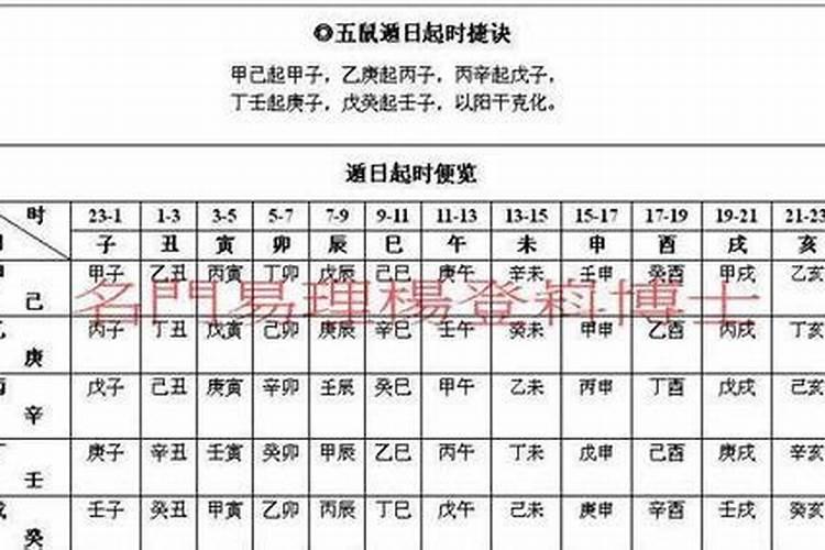 怎么看猫咪和自己八字合