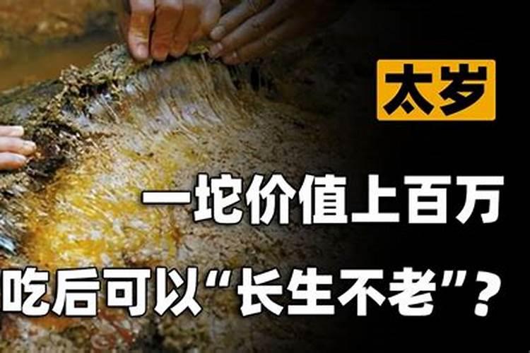 犯太岁可以吃狗肉吗