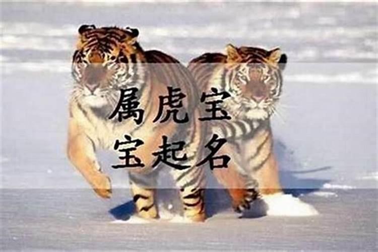 属虎的男孩取什么名字好一点？