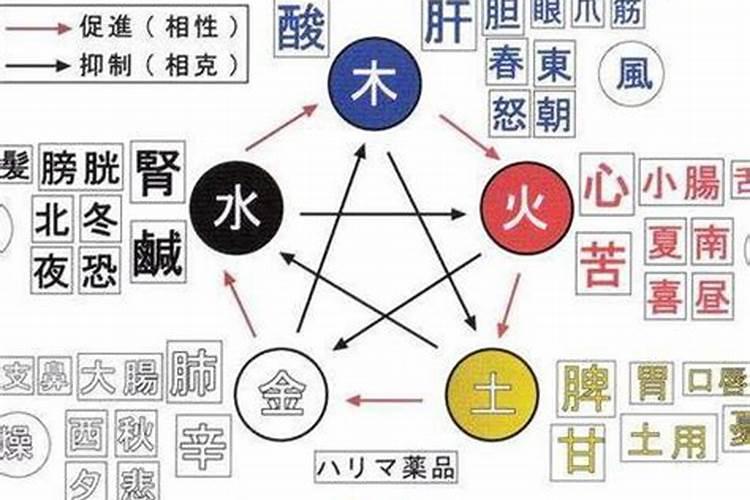 五行属水的人开店取什么名字