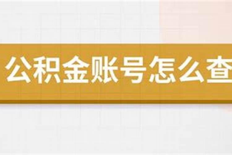 如何查找单位公积金账号