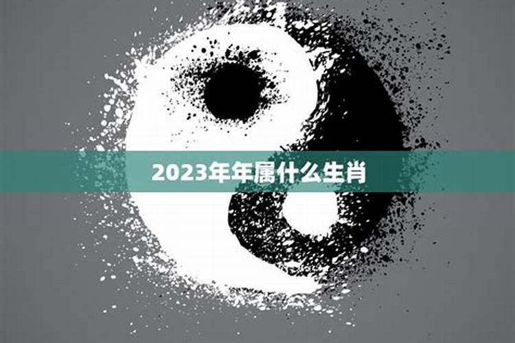 2023年属于什么生肖年