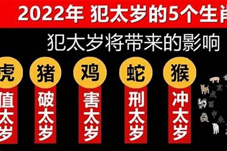 2023年犯太岁的生肖蛇如何化解