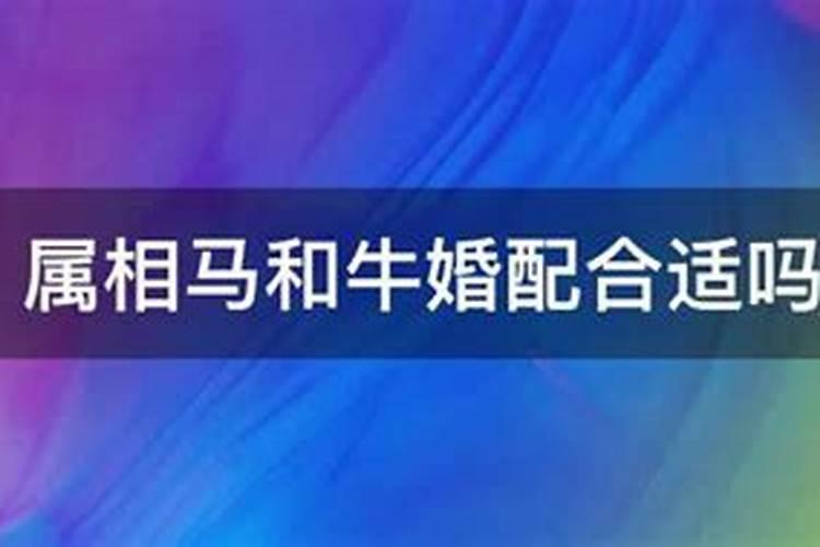 70狗人2025年运程