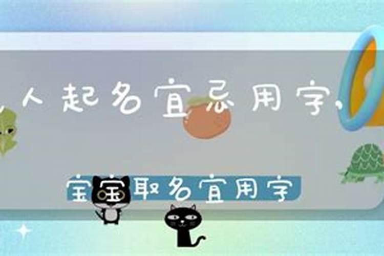 兔宝宝起名字不宜字