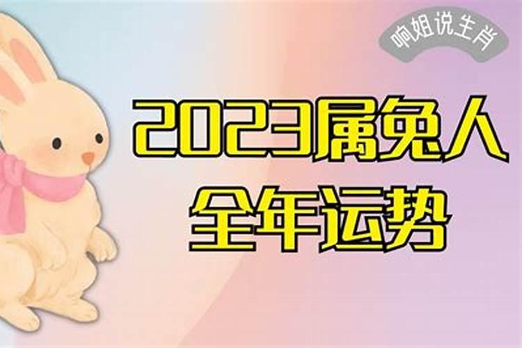 2023属兔全年运势