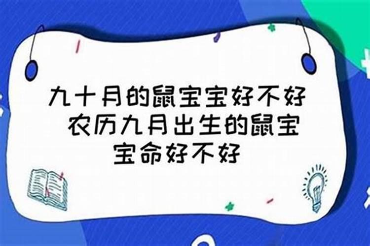 2023年猪宝宝是什么命，好不好